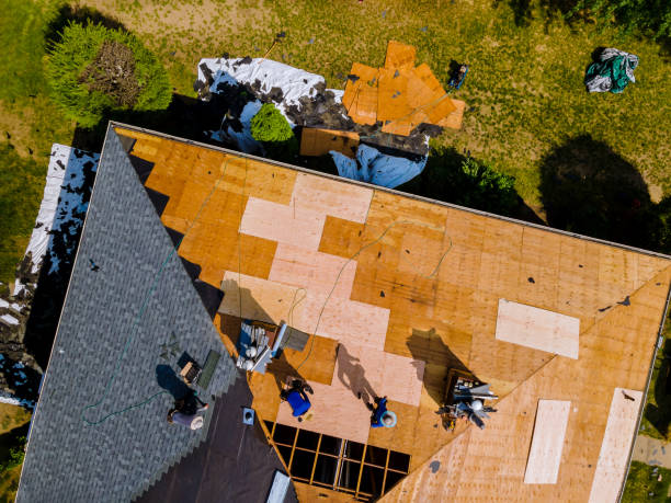 Trusted Evans City, PA Roofing Contractor Experts