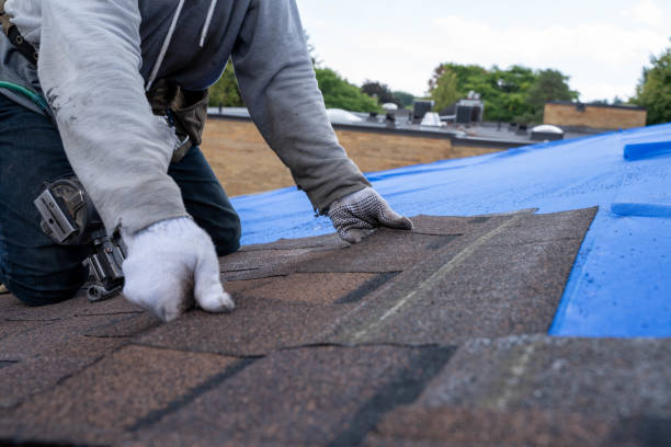 Trusted Evans City, PA Roofing Contractor Experts