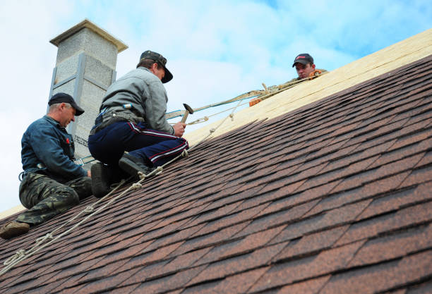 Best Commercial Roofing Services  in Evans City, PA